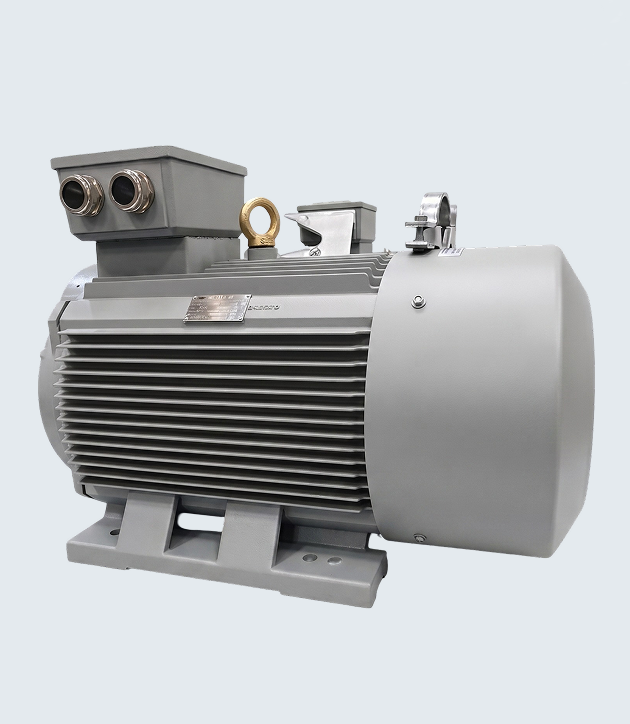 Трифазний асинхронний електродвигун YE4-315L2-6 (132 кВт, 690 В)